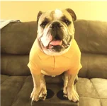20180417_122721.webp