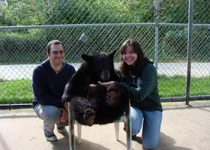 Bear1.webp