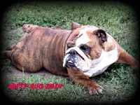 Duke's Mon.webp