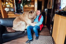 adopted-bear-russian-family-stepan-a15.webp