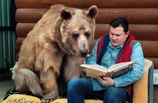 adopted-bear-russian-family-stepan-a2.webp