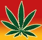 Pot leaf.jpeg