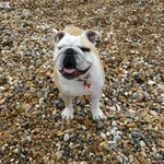 2014-09-07 10.34.12.webp