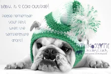 IMG_9959 11 baby it's cold outside.webp
