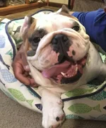 20180417_131909.webp