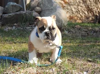 DSCN7930.webp