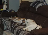 DSCN8052.webp