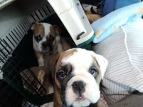 DSCN7877.webp