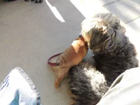 DSCN7905.webp