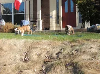 DSCN7922.webp