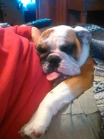 IMG_2017-09-29_16-02-24.webp