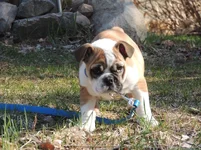 DSCN7929.webp