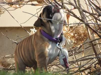 DSCN7935.webp
