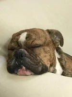 sleep 1.webp