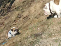 DSCN7937.webp