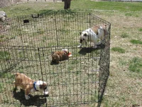 DSCN7944.webp