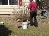 DSCN7967.webp