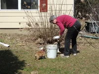 DSCN7968.webp