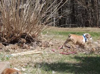 DSCN7979.webp