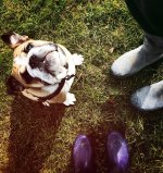 IMG_0849.JPG IMG_0849.JPG