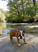 83D00827-464C-49A6-BD04-48DAB7846723.webp