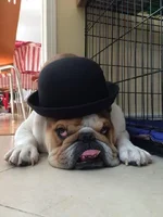 Harveyspecter86 (2).webp