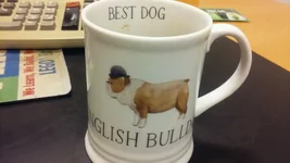 Harvey Mug.webp