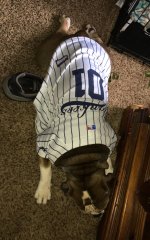 IMG_8860.JPG IMG_8860.JPG