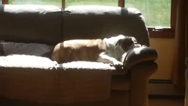 20151005_124126.webp