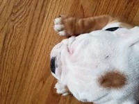 20170430_164036.webp
