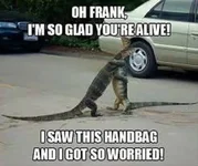 reptile.webp