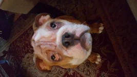 20170112_165459.webp