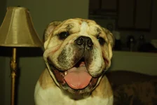DSC_0094 (1).webp