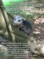 Possum.jpg