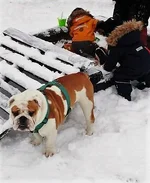 16111452_10157963406510212_986005562_n.webp