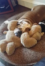 20150924_083618.webp