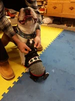 20161210_125952.webp