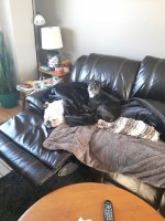 20170101_105806.jpg 20170101_105806.jpg