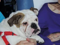 MuMhospitalandrosie 045.webp