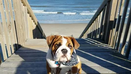 20161120_143128_20161211210918951.webp