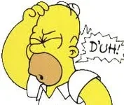 homer.webp homer.webp