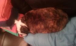 20170506_161220.webp