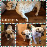 griffin00.jpg griffin00.jpg