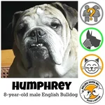 Humphrey.webp
