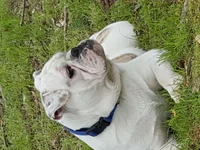 20180502_163457.webp