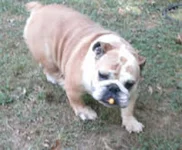 katie1.webp