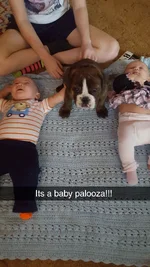 Resized_Snapchat-686282655.webp
