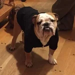 bru_hood.webp