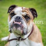 earl.jpg earl.jpg