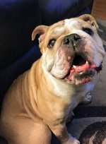 maggie1.jpg maggie1.jpg